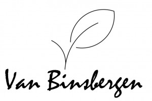 Van Binsbergen